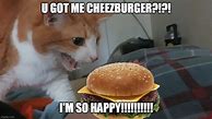 Image result for I Can Haz Cheezburger Friday Meme