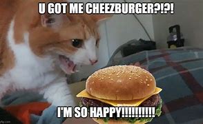 Image result for Burger Cat Meme