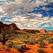 Image result for Desert Landscape Images