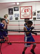 Image result for Tree Estate Boxing Club