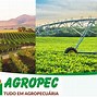 Image result for agropecusrio