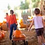 Image result for Donaldson Farms Hackettstown NJ Pumpkin Picking