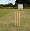 Image result for Photography Equipment Used to Film Cricket Game