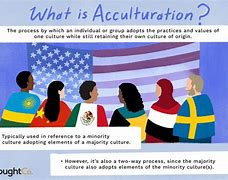 Image result for acultueaci�n