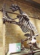 Image result for Prehistoric Big Cats