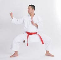 Image result for Karate Gi Open