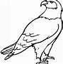 Image result for Flying Eagle Coloring Sheets