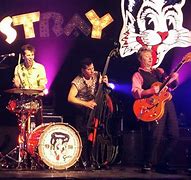 Image result for Stray Cats Band Members