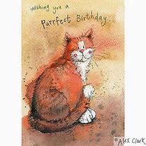 Image result for Happy Birthday Ginger Cat