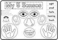 Image result for Activities On 5 Senses for Kg3