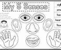 Image result for Five Senses Art Preschool