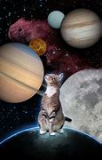 Image result for iPad Wallpaper Space Cat