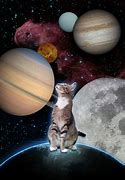 Image result for Fat Space Cats