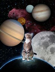 Image result for Space Cat Movie