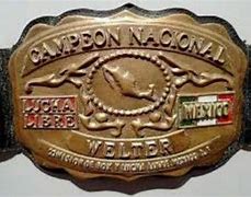 Image result for Mexican Wrestling Award