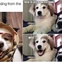Image result for Dawg in Me Meme Picture