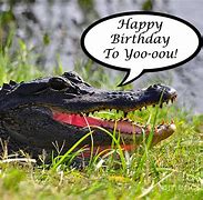 Image result for Birthday Beyoncé Alligator