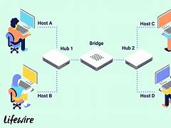 Image result for Bridge Immage in Network