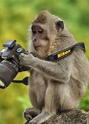 Image result for Camera Funny Pic