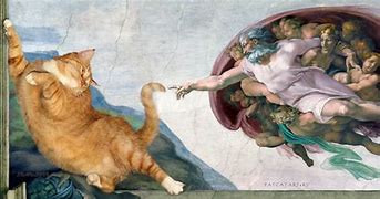 Image result for And God Created Cat