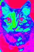 Image result for Trippy Cat Eyes