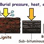 Image result for What Type of Rock Is Coal
