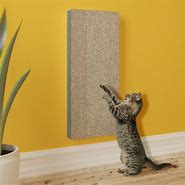 Image result for cat scratcher