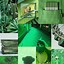 Image result for Green Collage iPhone