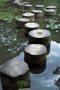 Image result for Pond Stepping Stones