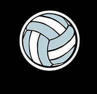 Image result for Volleyball Stickers