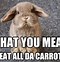 Image result for Rabbit Food Meme