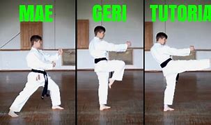 Image result for Types of Karate Mae Garikicks