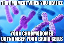 Image result for Chromosome Memes