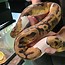 Image result for Pied Fancy Ball Python