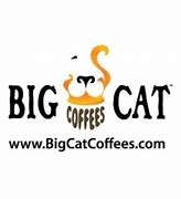 Image result for Big Cat Coffee