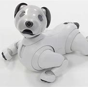 Image result for Aibo H