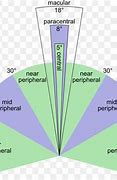 Image result for Peripheral Vision Chart