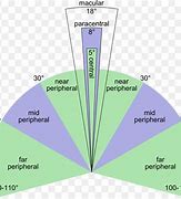 Image result for Peripheral Visual Field