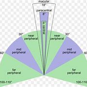 Image result for Peripheral Vision Diagram