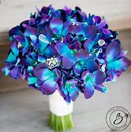 Image result for Blue and Purple Flowers
