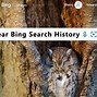 Image result for Clear Web Search History