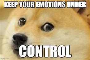 Image result for Meme Emotional Control