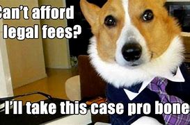 Image result for Lawyer Dog Meme