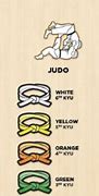 Image result for Judo Belt Ranks