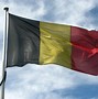 Image result for Belgische Flagge