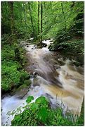 Image result for Black Forest Bath Germany