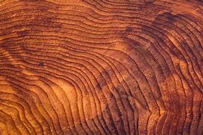 Image result for Colored Wood Grain