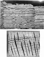 Image result for Wood Drying