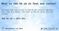 Image result for 96 Cm to FT