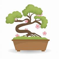 Image result for Japanese Bonsai Tree Clip Art